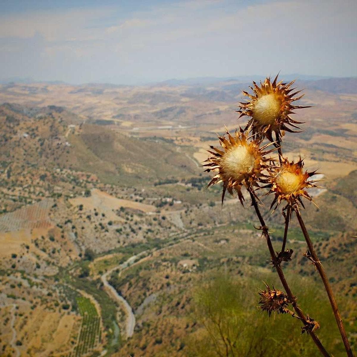 Construction Planning